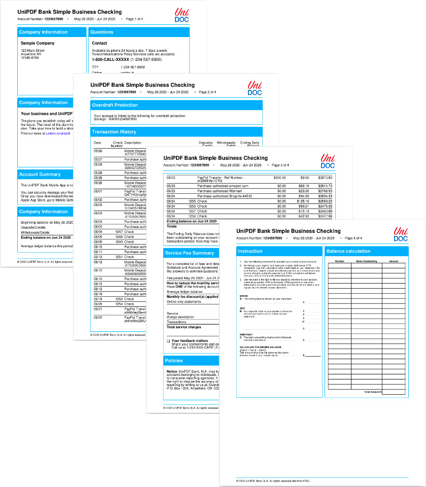 Bank Account Statement